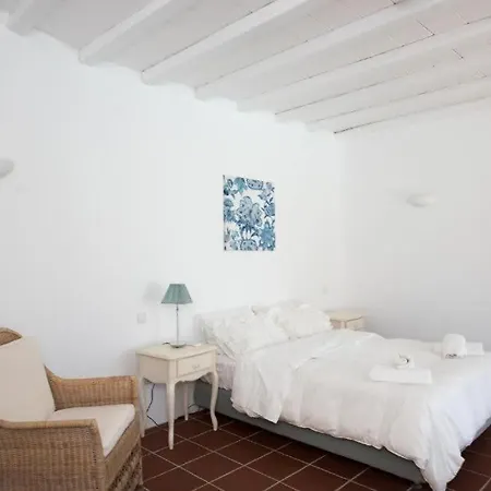 Mykonian Private 2 Bd With Private Pool Inn Ftelia (Mykonos)